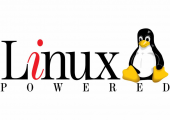 linux查看端口netstat使用情况