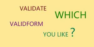 validate、validform